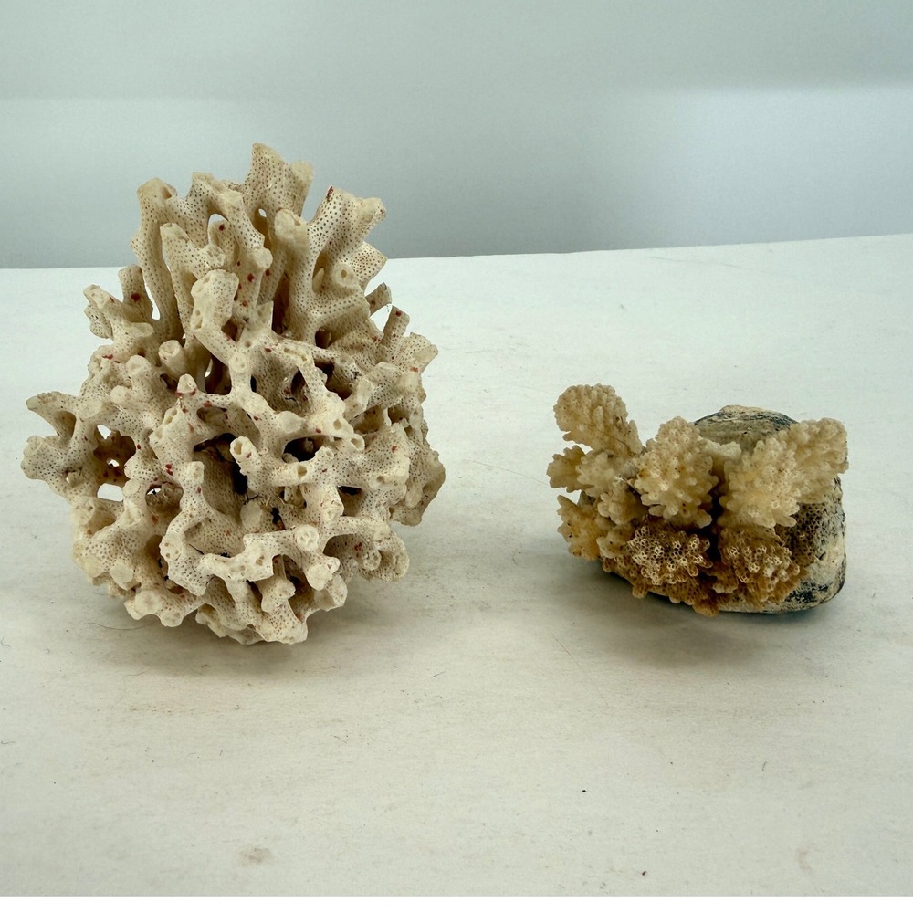 Natural Coral Pieces 1.56 lbs Coastal Nautical Beach Ocean Decor Lot of‎ 2